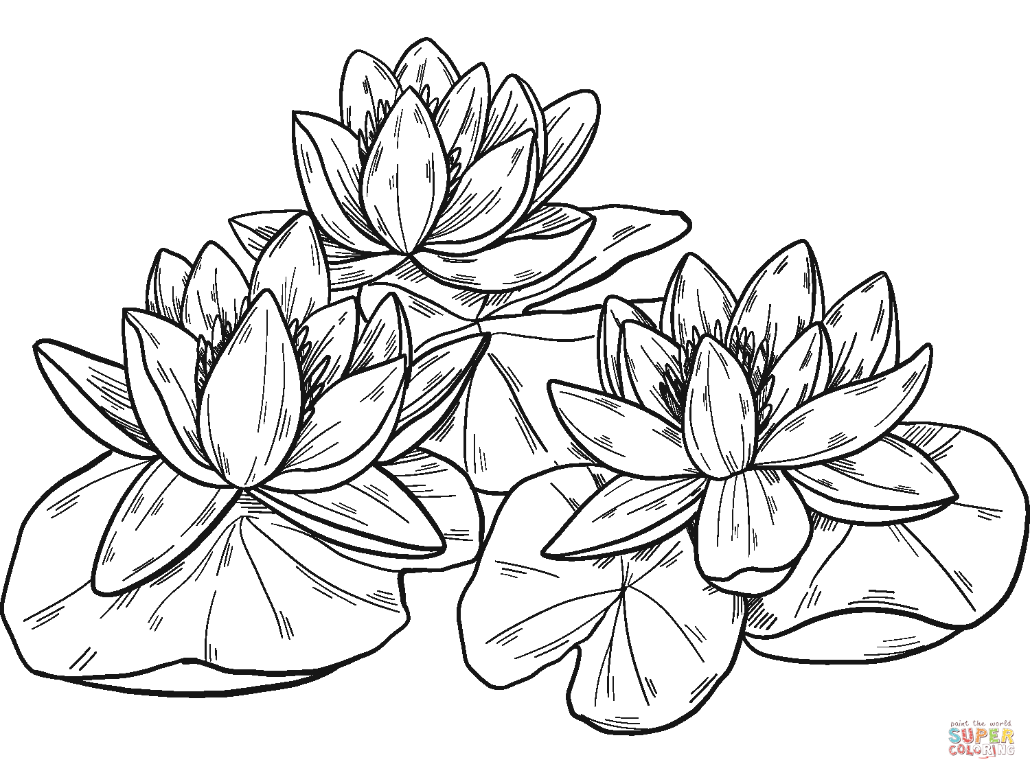 Water lilies coloring page free printable coloring pages