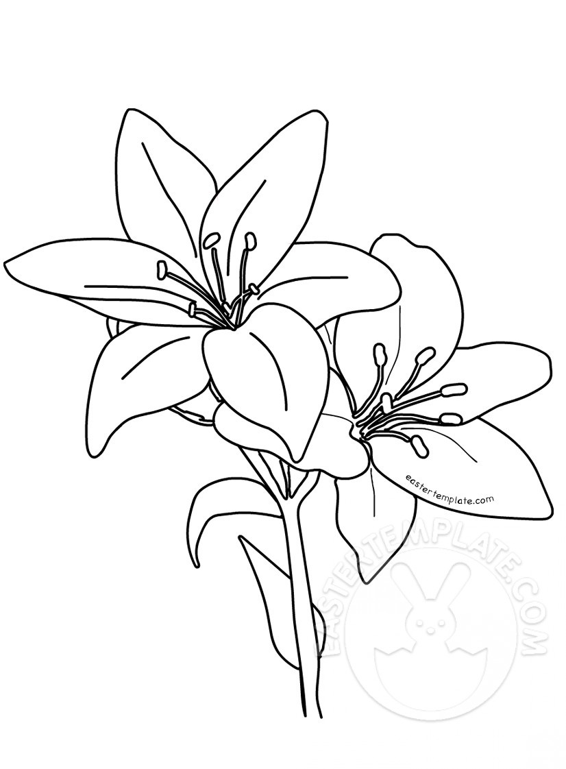 Printable easter lilies template