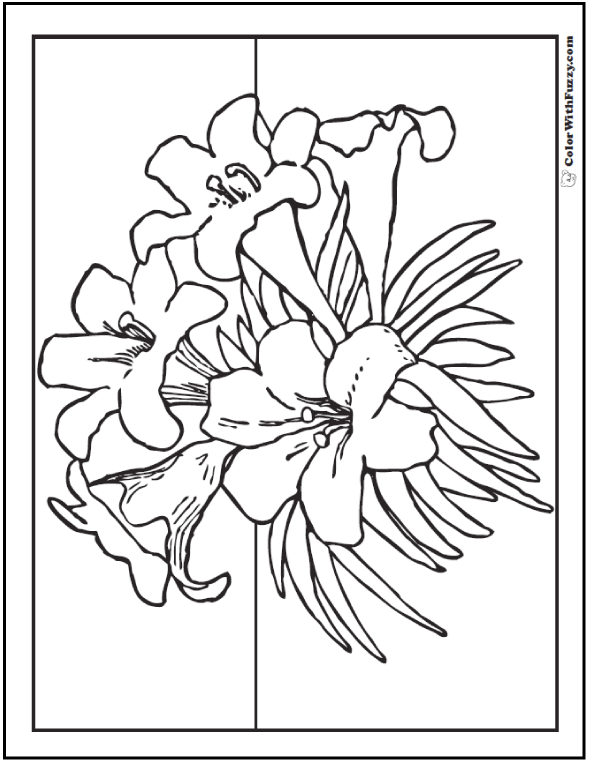 Lily coloring pages â fun interactive notebook pdf printables