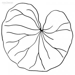 Printable lily pad coloring pages for kids lily pad drawing lily pads coloring pages