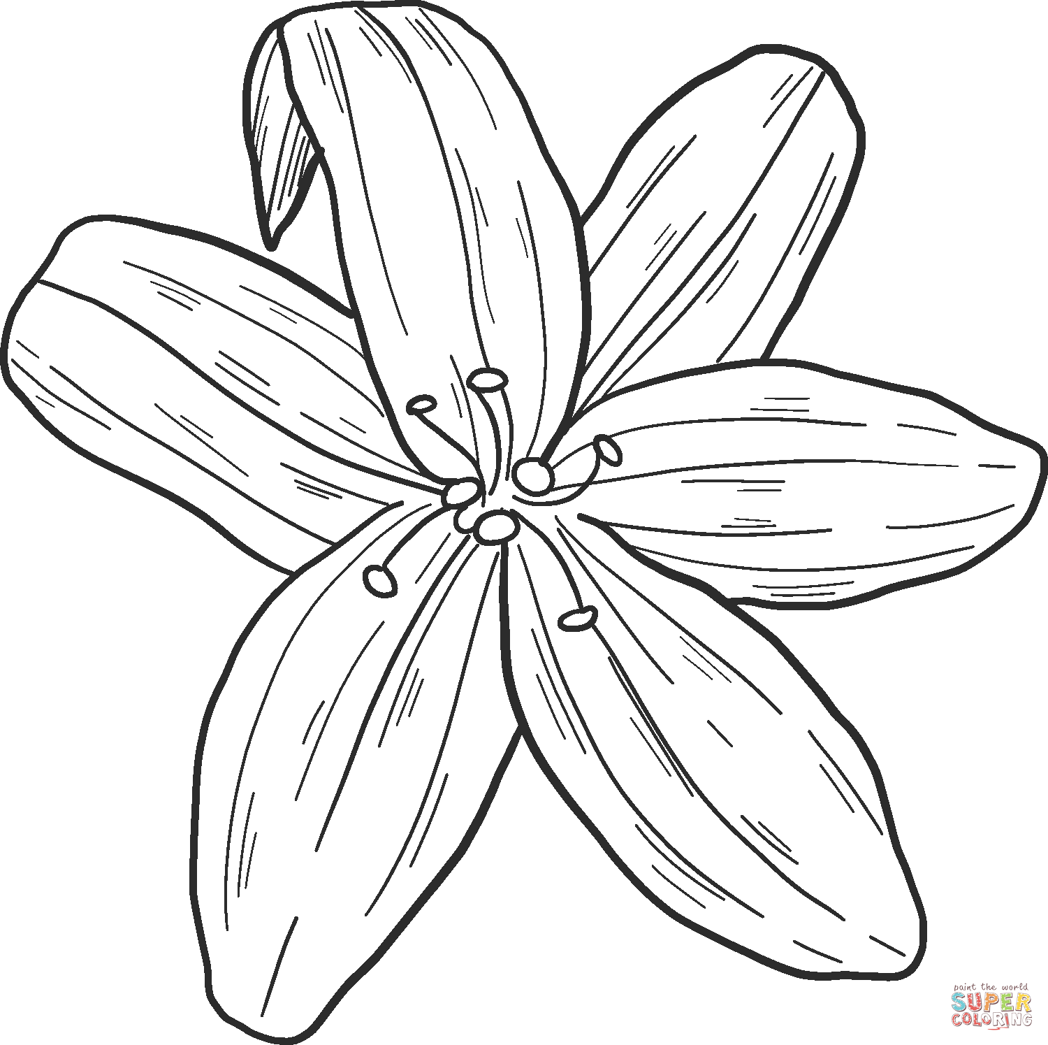 Lily coloring page free printable coloring pages