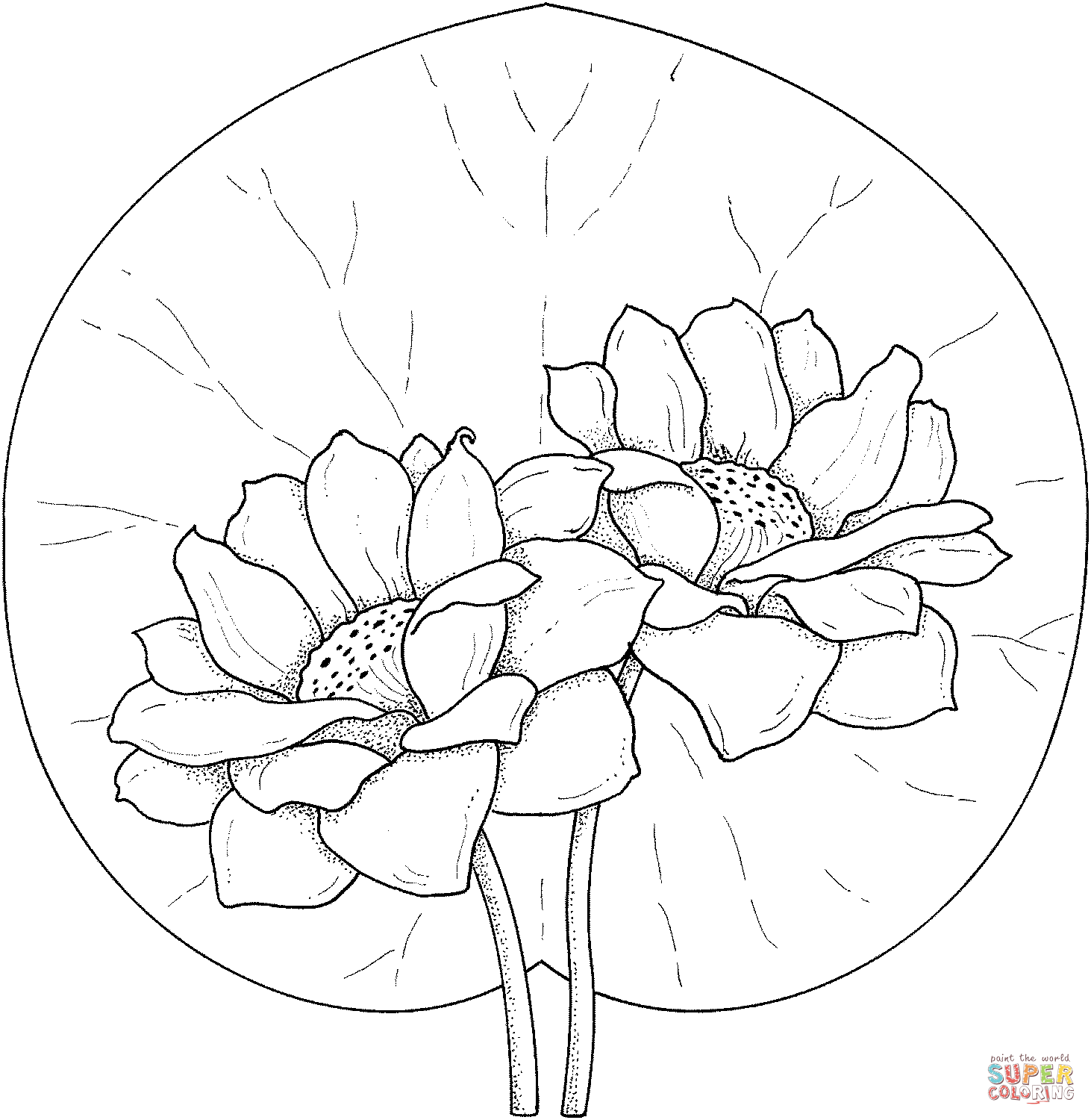 Two water lilies coloring page free printable coloring pages