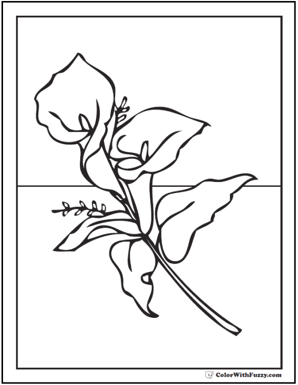 Lily coloring pages â fun interactive notebook pdf printables