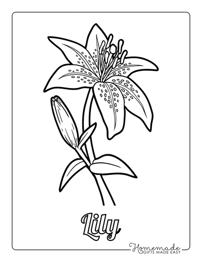 Free flower coloring pages for kids adults