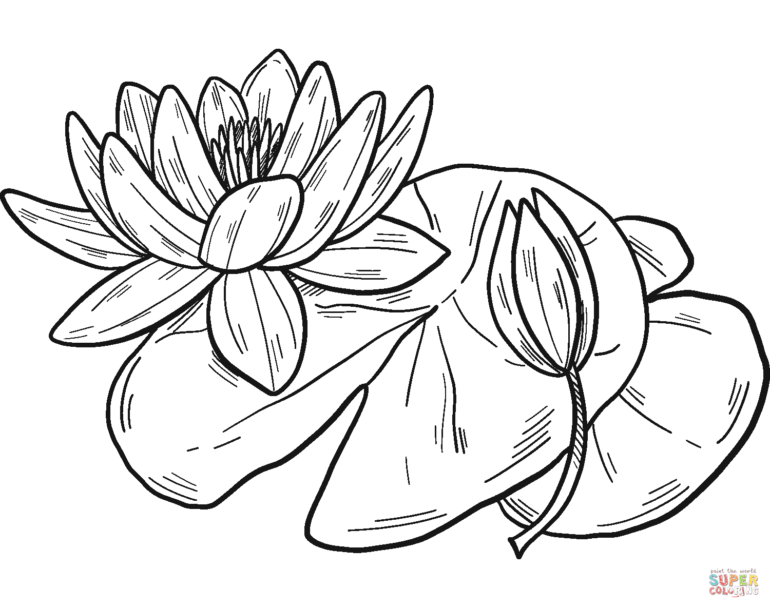 Water lilies coloring page free printable coloring pages