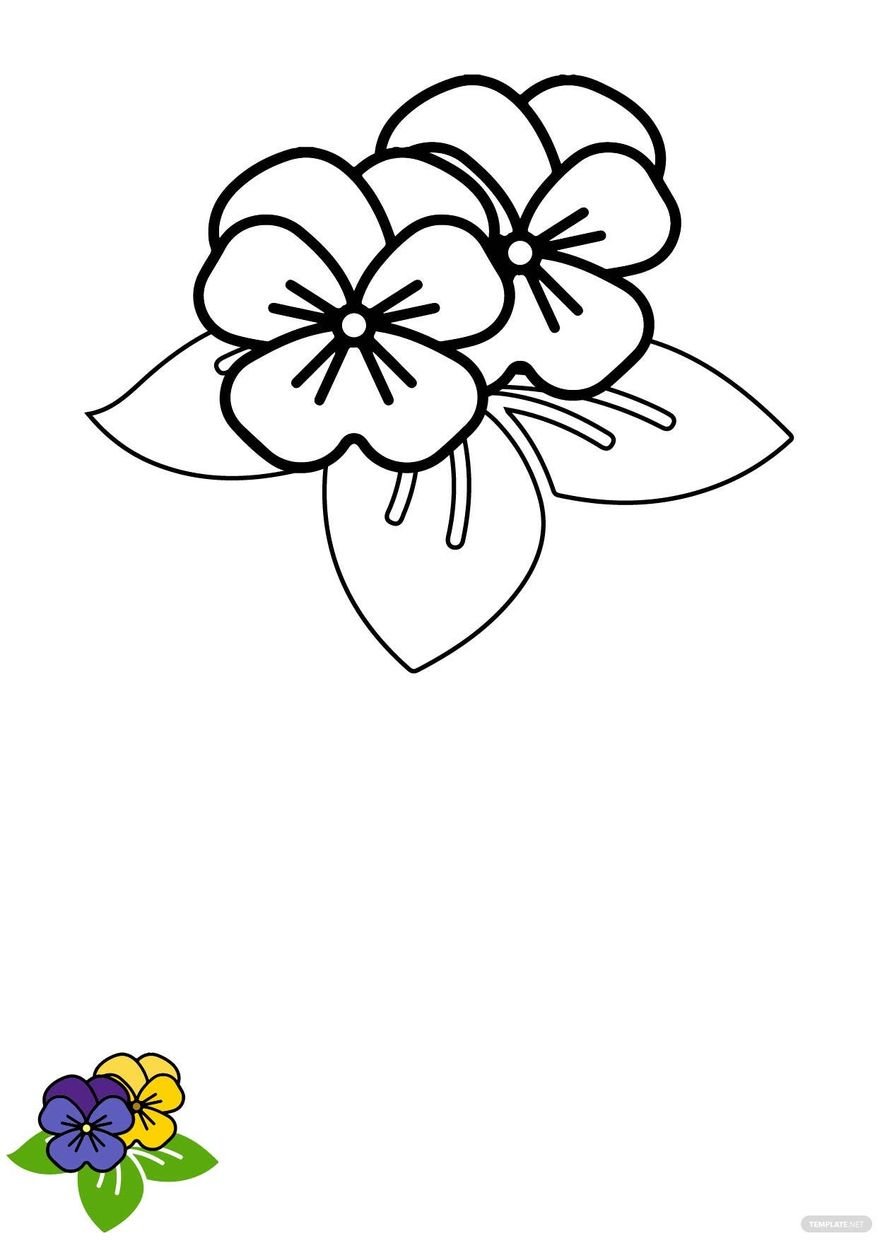 Free orchid flowers coloring page