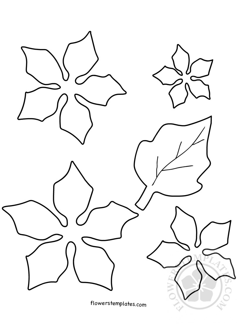 Diy paper poinsettia template