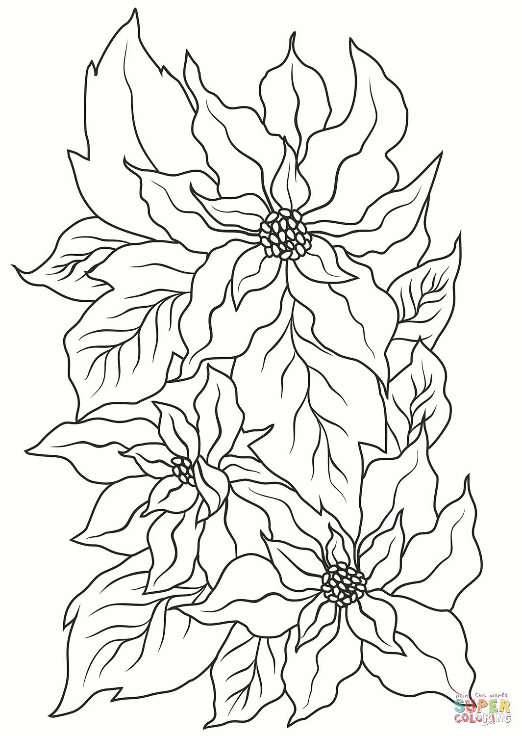 Poinsettia coloring page free printable coloring pages