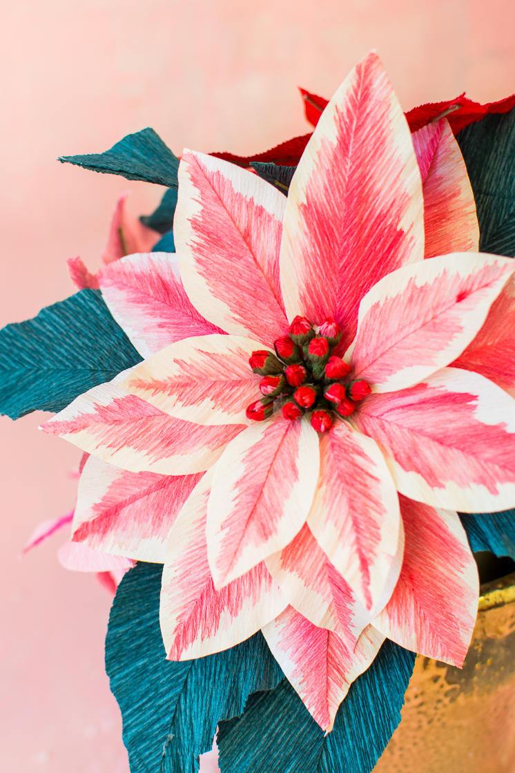 Paper poinsettia flowers