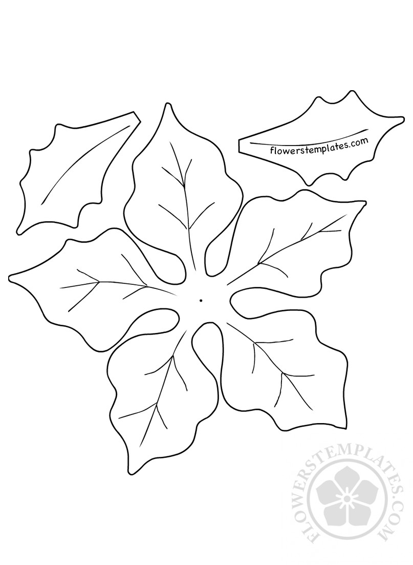 Diy paper christmas poinsettia template