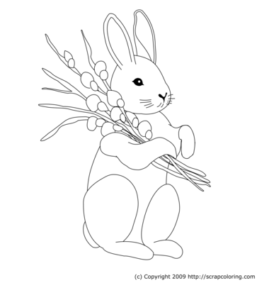 All coloring pages coloring page