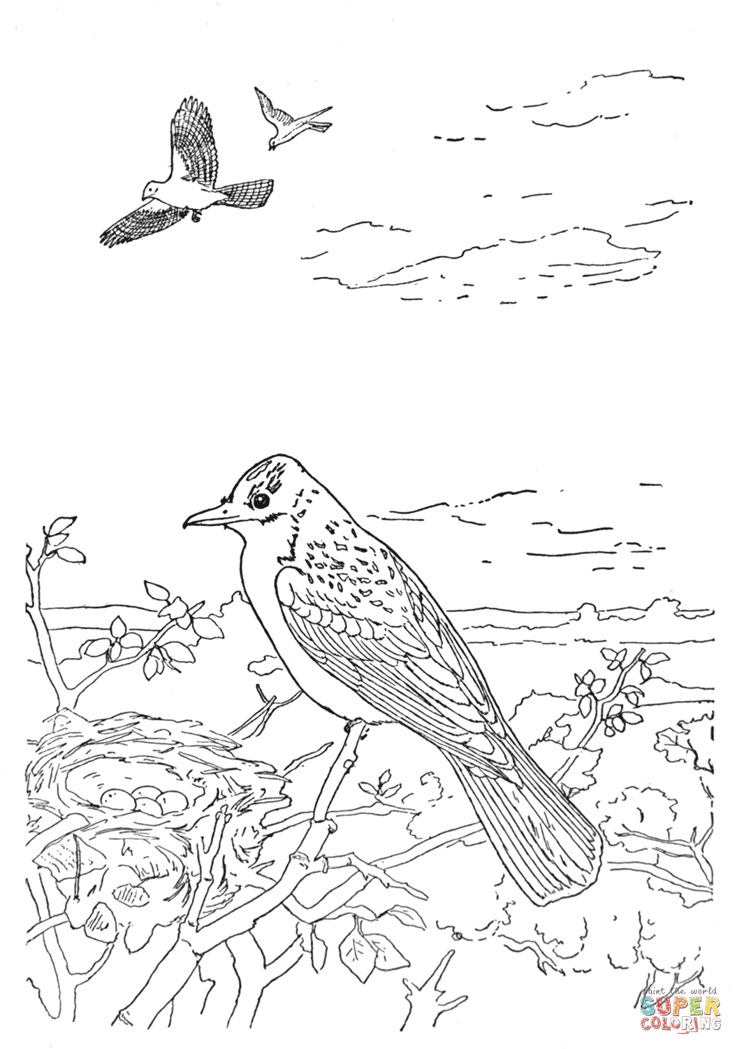 Kingbird coloring page free printable coloring pages