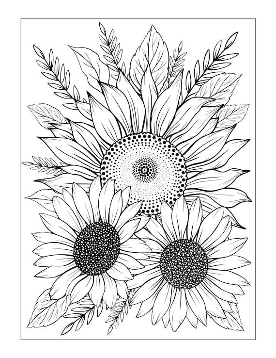 Sunflower sunflower colouring sheet sunflower coloring download colouring colour therapy