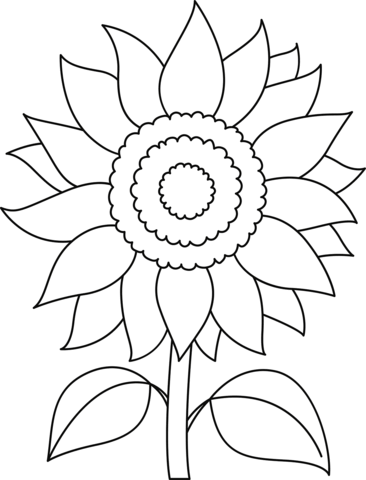 Sunflower coloring page free printable coloring pages