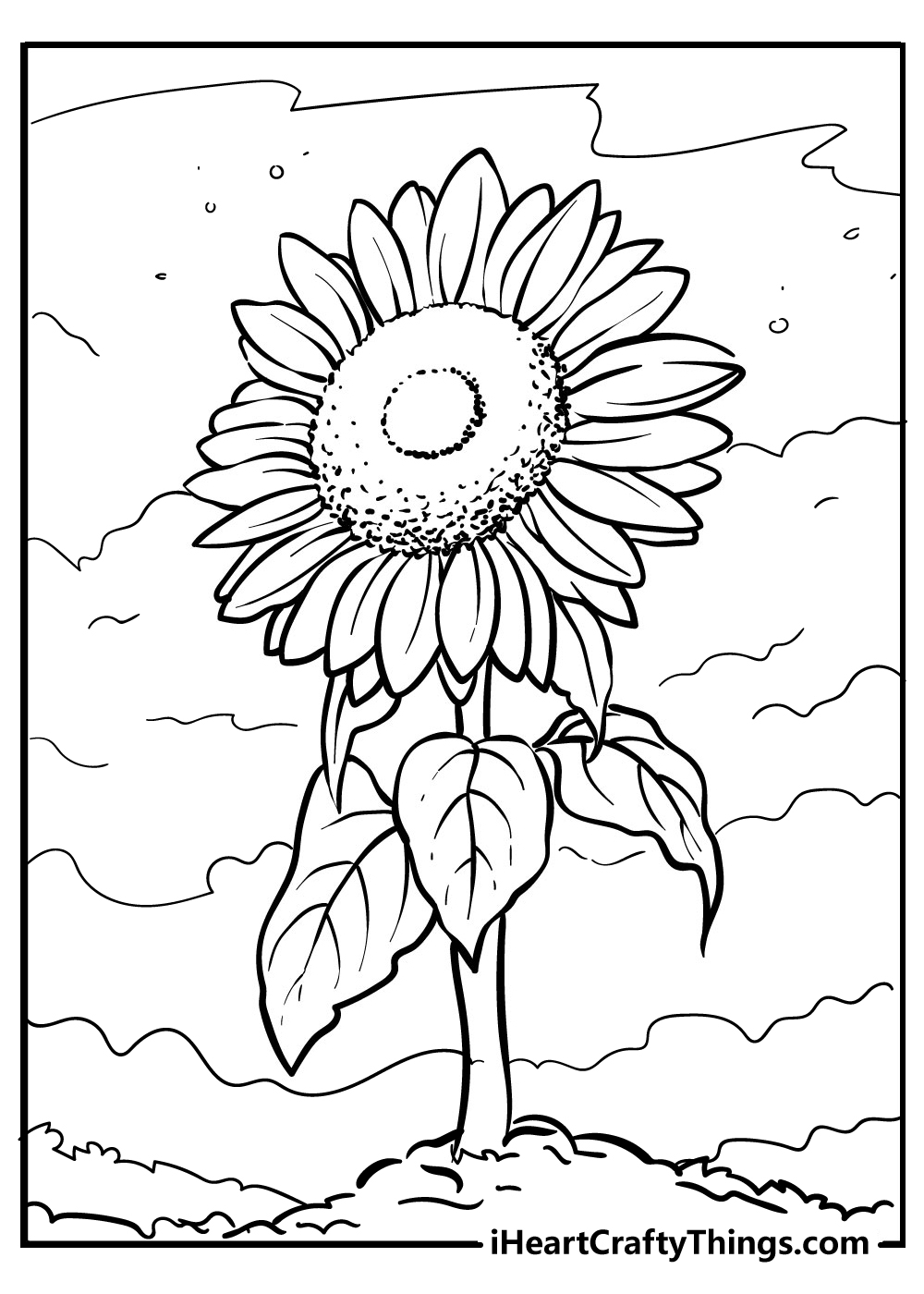 Sunflower coloring pages free printables