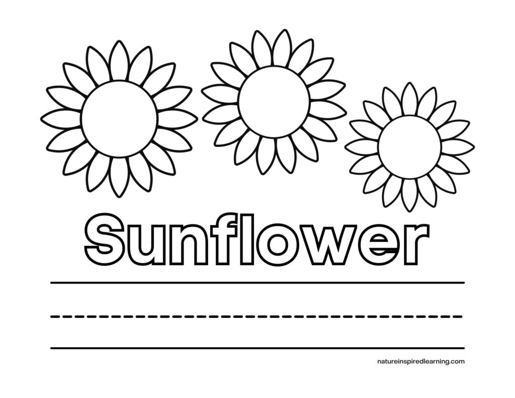 Sunflower coloring pages for kids