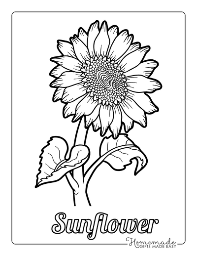 Free flower coloring pages for kids adults