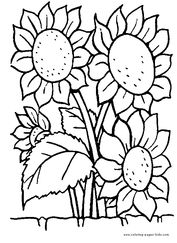 Vibrant sunflower coloring page