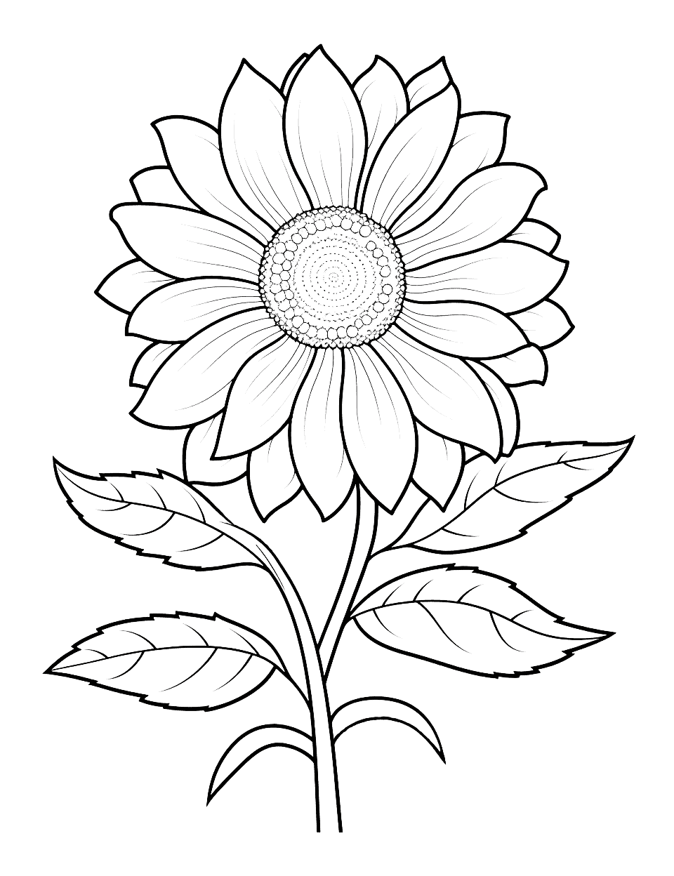 Flower coloring pages free printable sheets