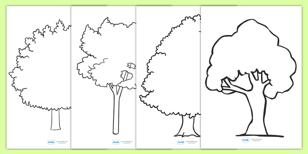 Tree outline drawing activity colouring resources