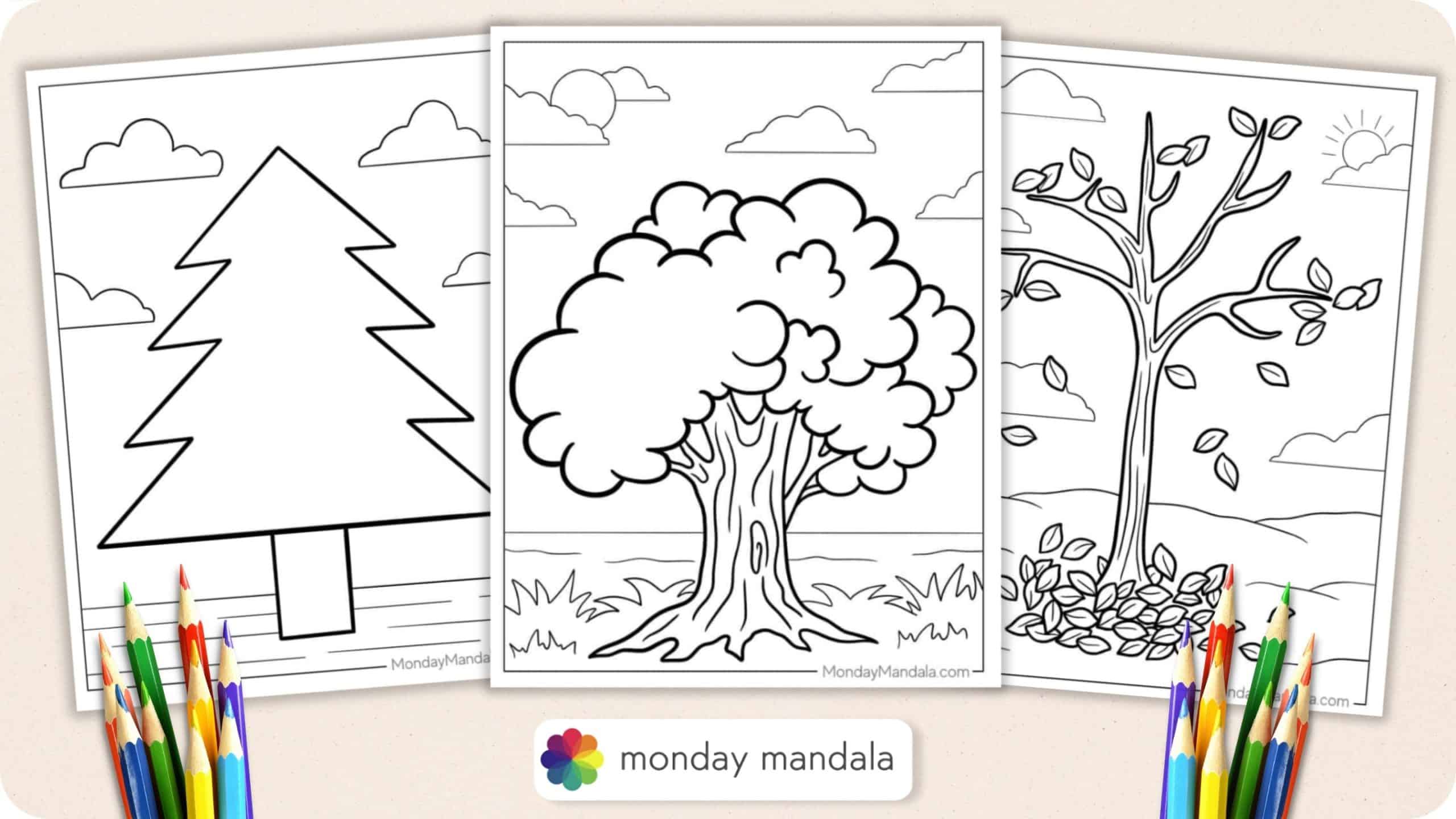 Tree coloring pages free pdf printables