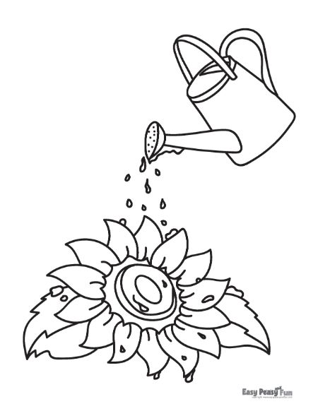 Printable sunflower coloring pages â sheets