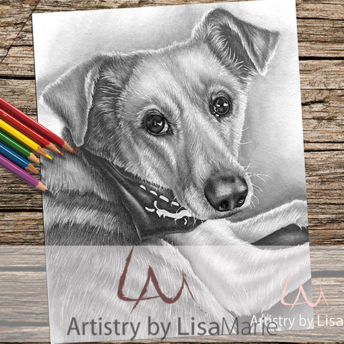 Dog with bandana coloring book page â artistry by lisa marie