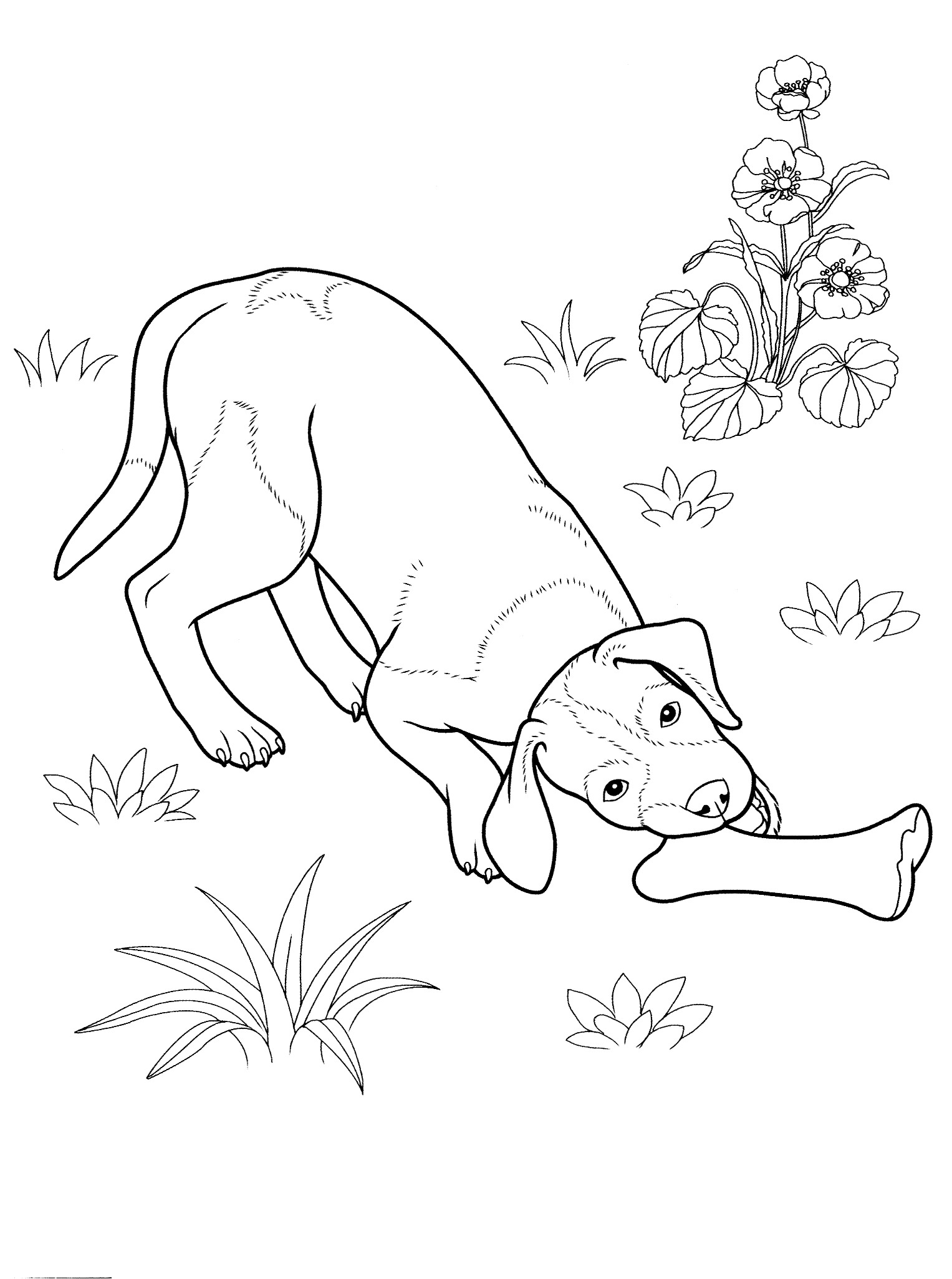 Dogcoloringpages teenagers coloring pages