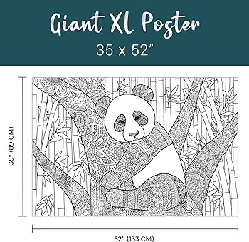 Dekali designs panda coloring poster