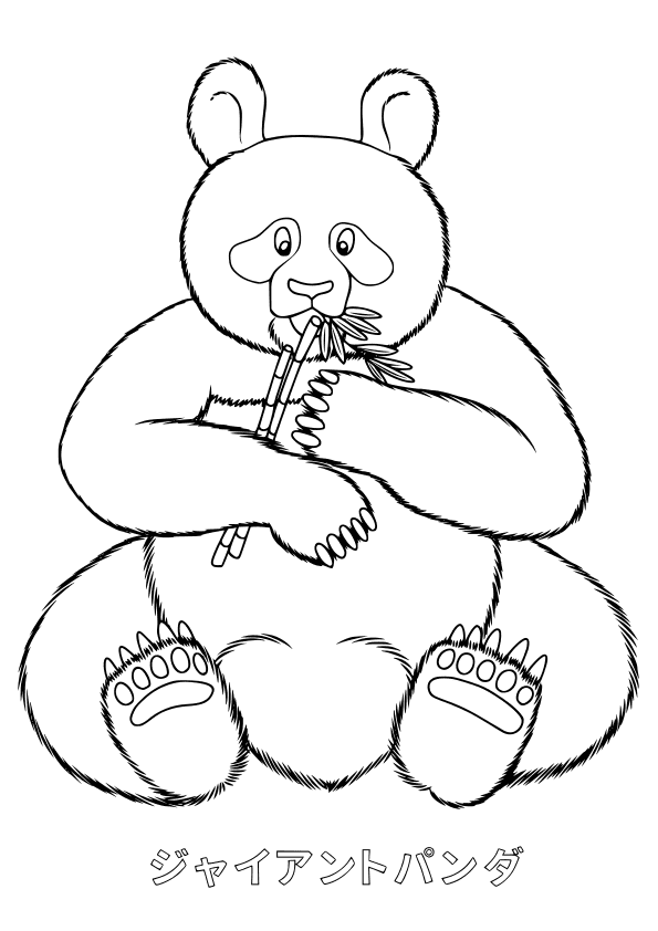 Panda coloring pages free printable nurie