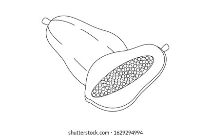 Papaya coloring images stock photos d objects vectors