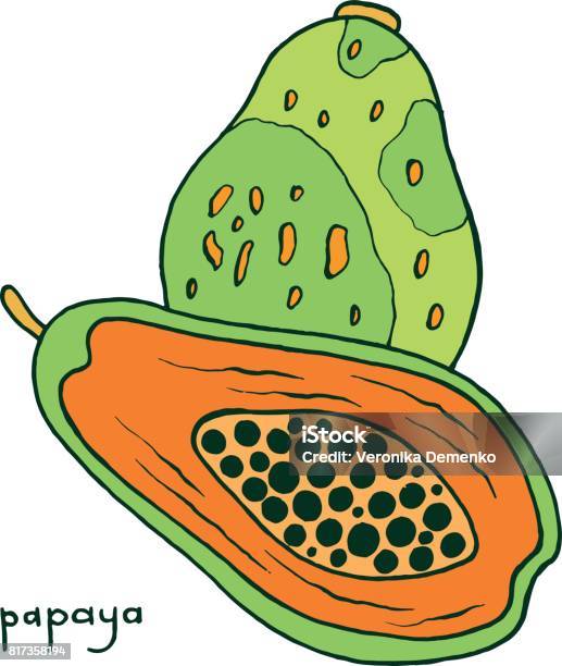 Papaya fruit coloring page graphic vector colorful doodle art for coloring books for adults tropical and exotic fruit line illustration stock illustration