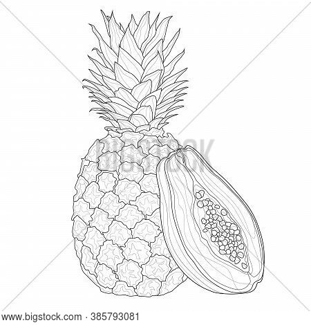 Pineapple papaya vector photo free trial bigstock