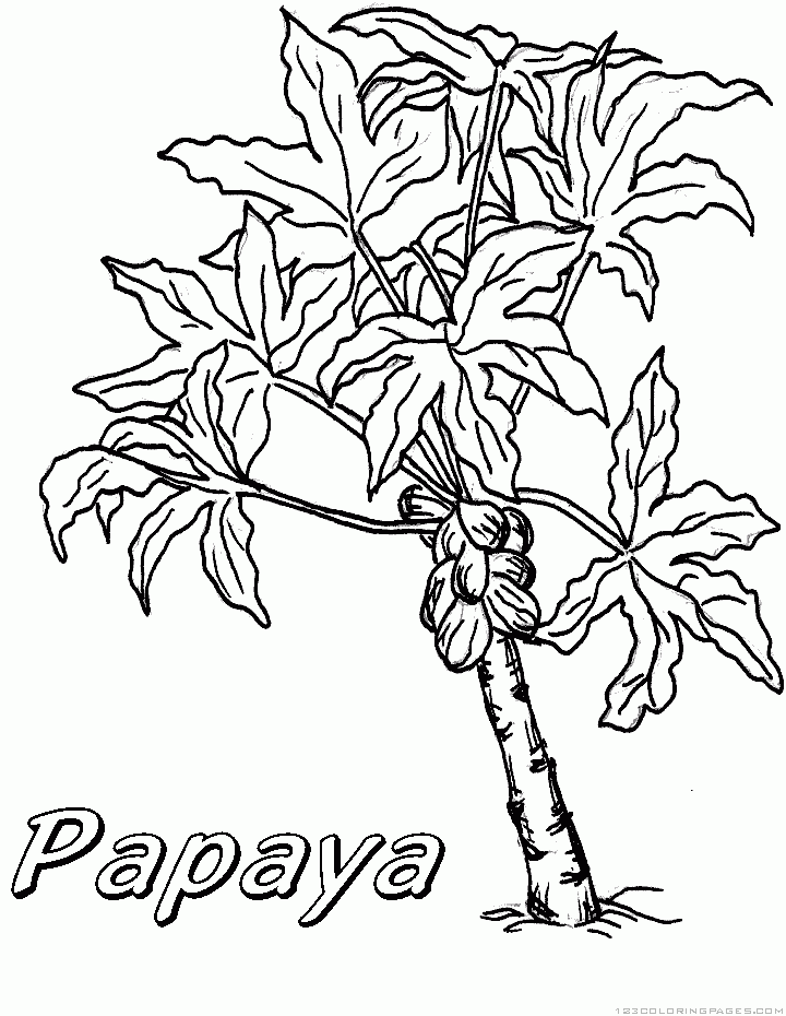 Papaya coloring pages