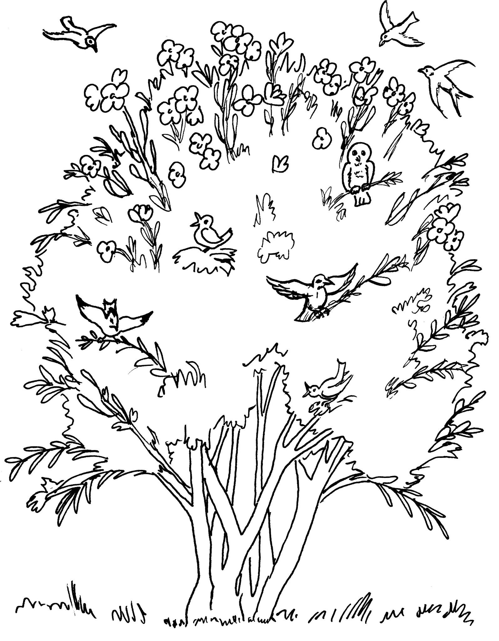 Parable of the mustard seed coloring pages religione senape fede