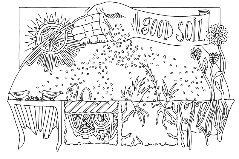 Parable of the sower â illustrated ministry