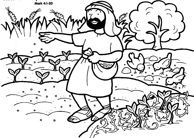 Cut and paste parable of the sower week