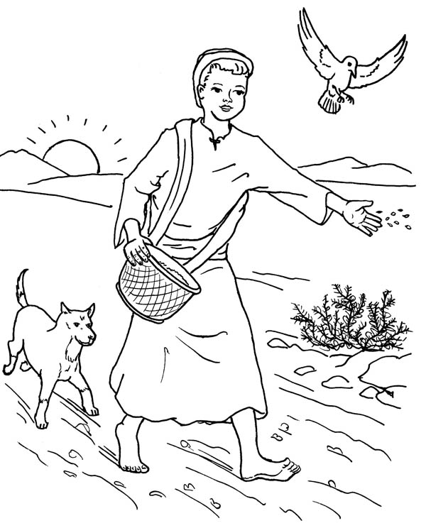Farmer scattered seed among thorns in parable of the sower coloring page color luna