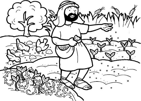 Seed that falling into good soil in parable of the sower coloring page sunday school coloring pages bible coloring pages bible crafts