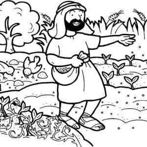 Engaging parable of the sower coloring page for kids