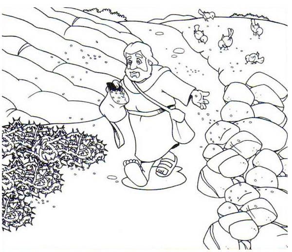 Parable of the sower scattering seed into rock places in parable of the sower coloring page bible crafts bible coloring pages parables