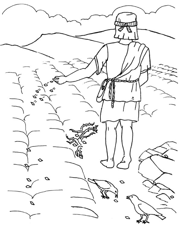 Good ground where seed was scattered in parable of the sower coloring page color luna bible coloring pages coloring pages parables