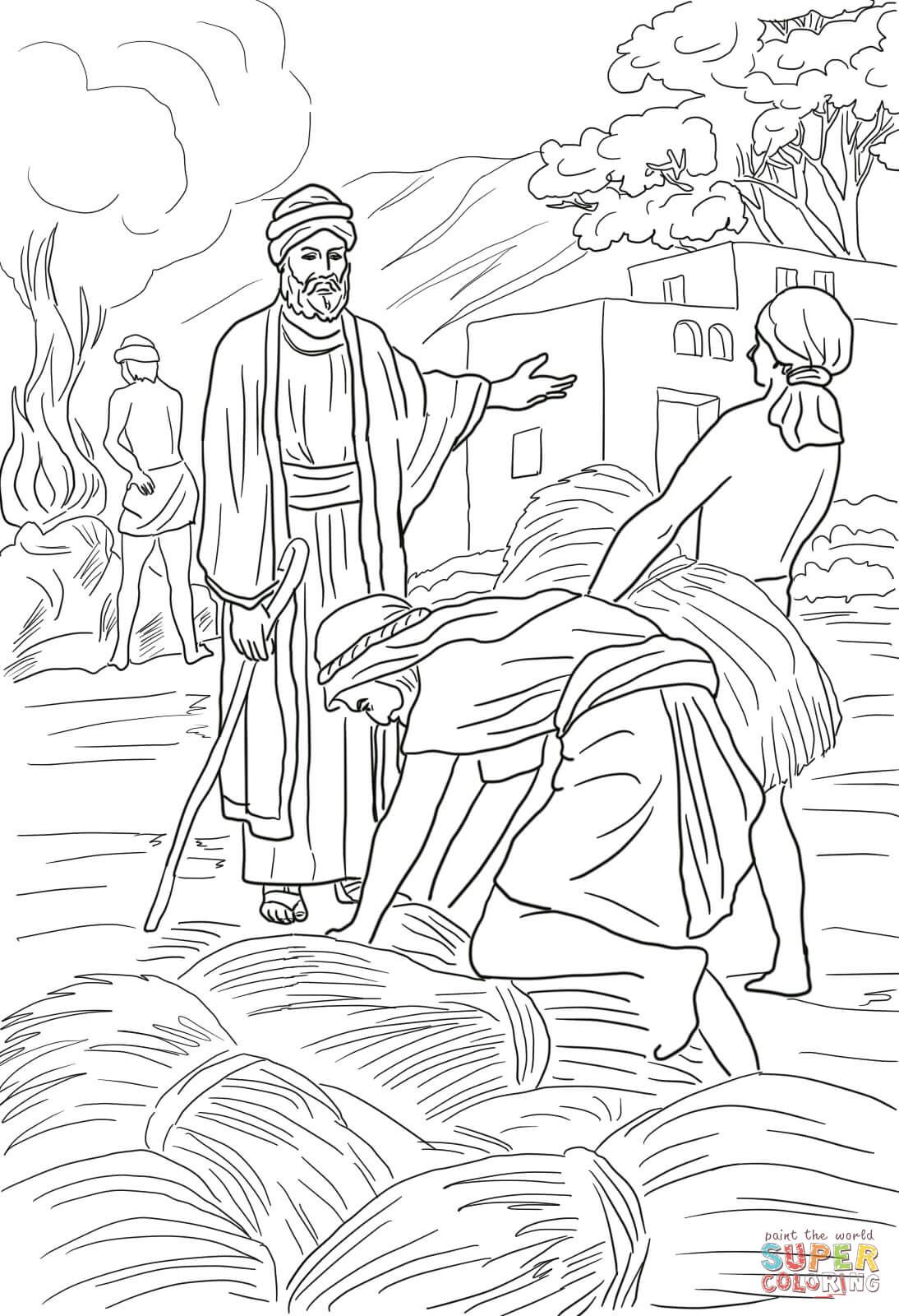 Parable of the wheat and weeds super coloring bible coloring pages coloring pages bible coloring