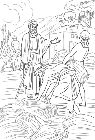 Parable of the wheat and weeds coloring page free printable coloring pages