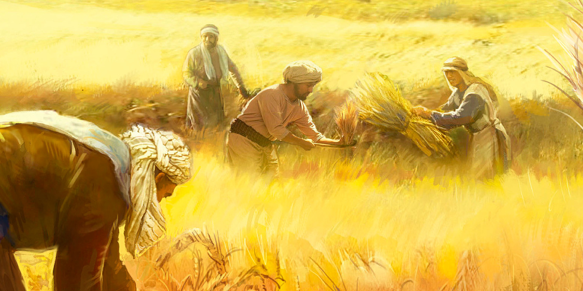 Understand jesus parable of the wheat and the weeds study