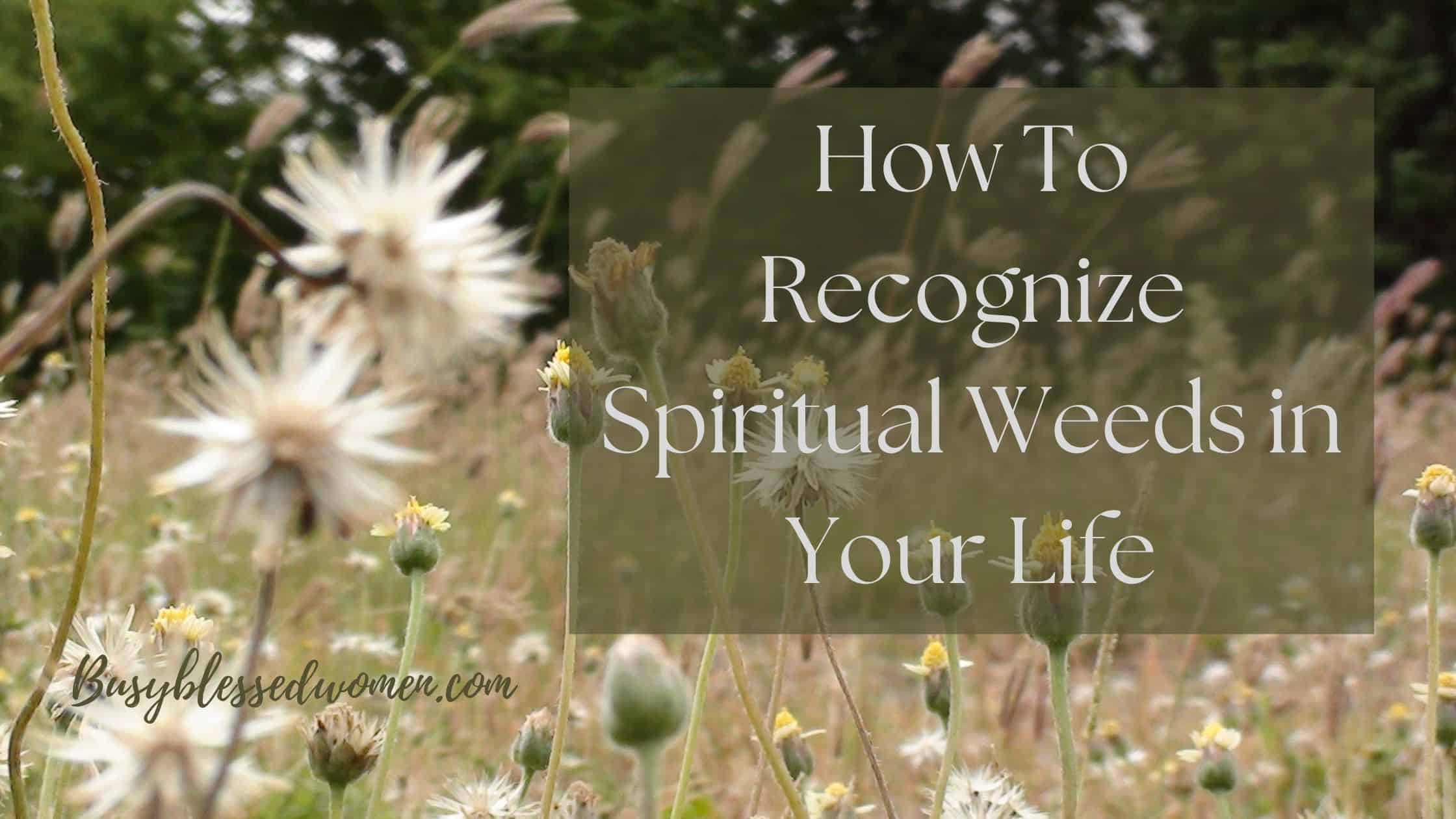 How to recognize spiritual weeds in your life