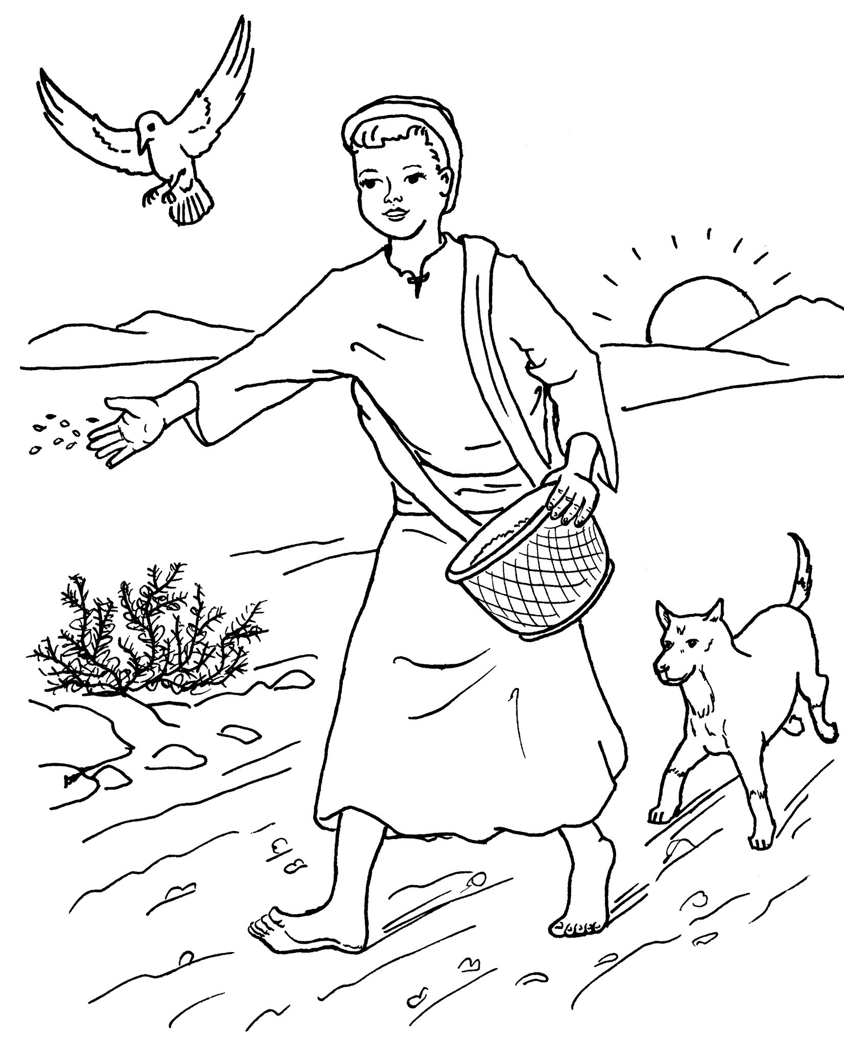 Coloring pages