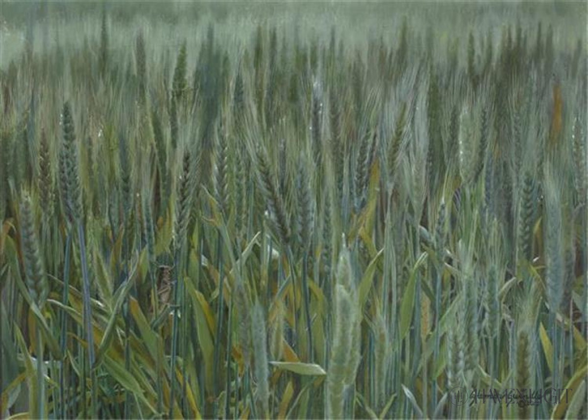 The wheat and the tares by liz lemon swindle â