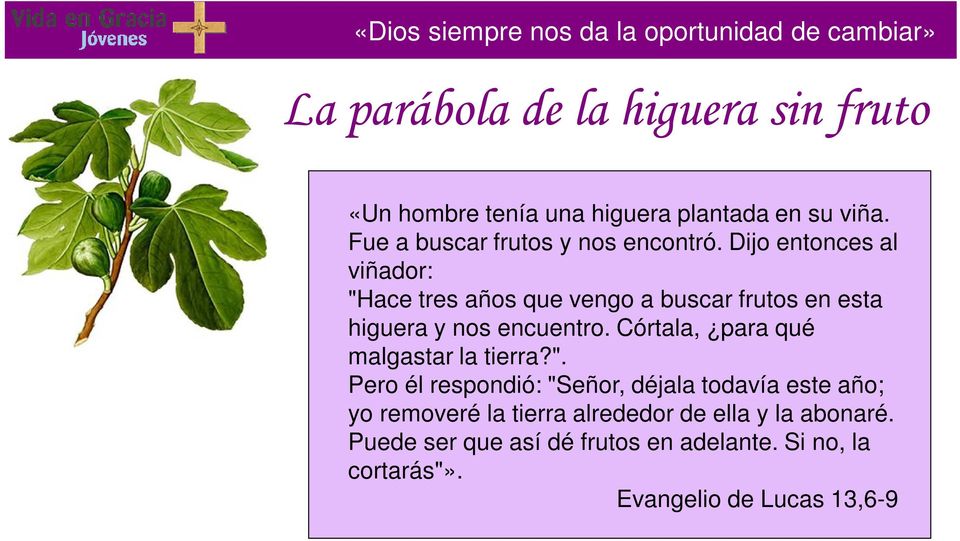 La parãbola de la higuera sin fruto