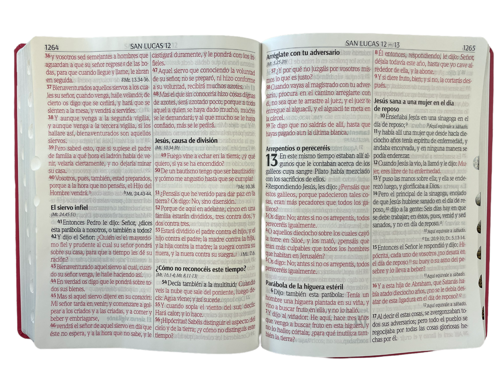 Biblia rvr letra super gigante puntos color rosa con indice for sale online